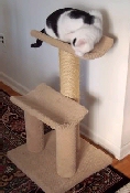 Purrfect window perch!