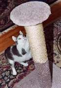 3R - 36"  Sisal rope pedestal scratcher w/round top