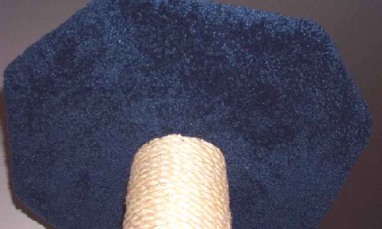 The bottom of the platform is also fully covered with lush, thick carpet.
