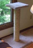 Put your cat up on a pedestal