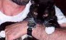 Amie (1985-2002) Rest in peace, Bitty.