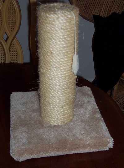 MNS- Mini Sisal Scratching Post with furry hanging toy