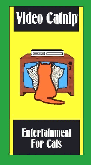 a video for your cat!