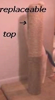 The  b35tr has a REPLACEABLE&nbsp;top sisal portion!!
