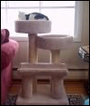 Your cat needs a nice nest!