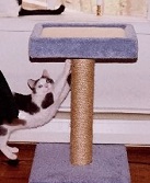 Jasper's Sunday Soapbox!