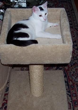 One of our newest arrivals, Gateway, poses proudly