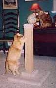 HUGE&nbsp;Dual Sisal Pedestal