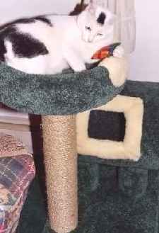 a step up in amenities and luxury!!