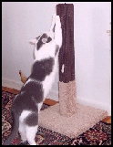 Tall sisal weave post at a GREAT PRICE!