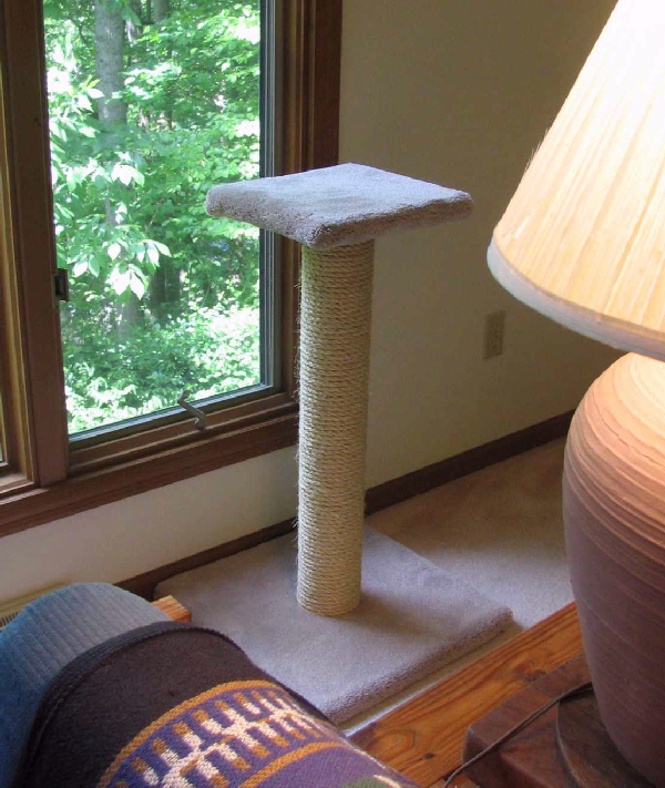 This pedestal puts your cat on an equal footing with the other animals in the house!