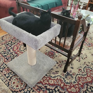 Luxurious Multilevel Condo