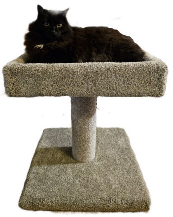 Luxurious Multilevel Condo
