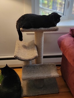Luxurious Multilevel Condo