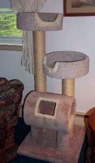CG3- 3 level cat climbing tree/perch/post/condo AVAILABLE LOCALLY ONLY