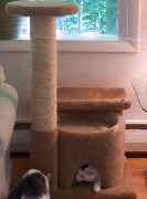 CL4 Condo Leeza Four - Sent to Winnipeg Canada
