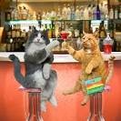 BarCat3