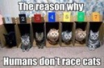 FastCatz2