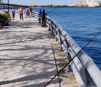 GulfScratch1 - Product Image