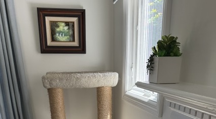 SpringsCats26 - Product Image