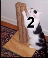 2AWS24 Two-pak
