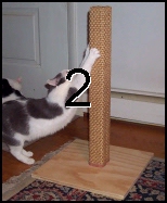 2AWS30 Two-pak