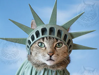 Applecat21 - Product Image