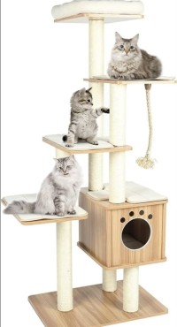 Bello Catto - Product Image