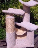 Center Circle Kitten Playground Model One - Product Image