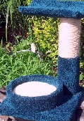 Center Circle Petite - Product Image