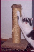 GM22 - 22"  Sisal Rope Scratching Post - Product Image