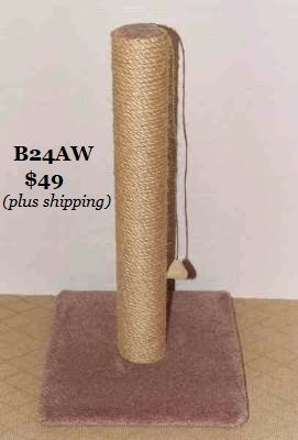 Invitation Only Clearance Sale 2026 B24AW - Product Image
