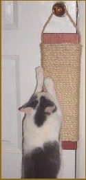 DH19 - 19" Door Hanging Scratcher. - Product Image