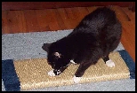 MB24 - Horizontal Sisal Rope Scratcher - 24"