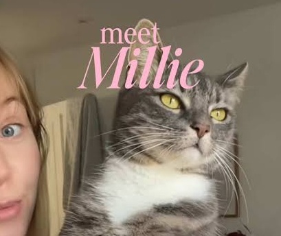 Millie's Fix 26