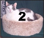 NST2 - Two Complete Crow's Nests - Product Image