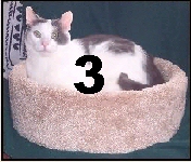 NST3 - Three Complete Crow's Nests - Product Image