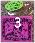 Ratherbee's Catnip - Quantity: 3