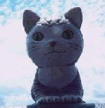 Springs Cats - Product Image