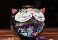 SugarCat25A - Product Image