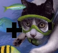 Swampcat Plus Extra Post - Product Image