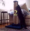 Two (2) LSS Straight, heavy duty reinforced 30" sisal scratching posts - Product Image